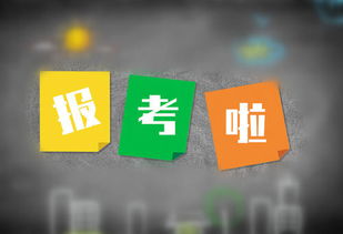 南京高升專學(xué)嘉供旅游開發(fā)項目策劃咨詢