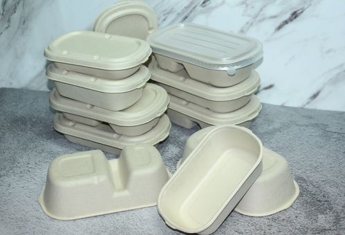 植物纖維紙漿制品分類及其在廚衛(wèi)日用領(lǐng)域的應(yīng)用 聚焦一次性可降解模塑產(chǎn)品的優(yōu)勢(shì)與挑戰(zhàn)
